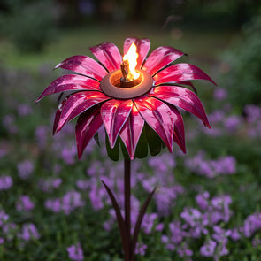 Lit Bishop Dahlia Torch in flower bed