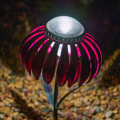 Pink Coneflower Solar Light, lit up in yard