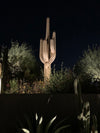 Saguaro Cactus | 17'