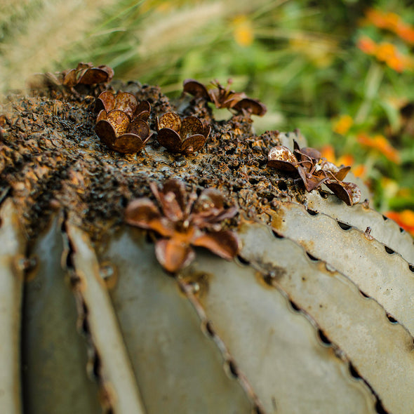 Close up of Fishhook Barrel flowers