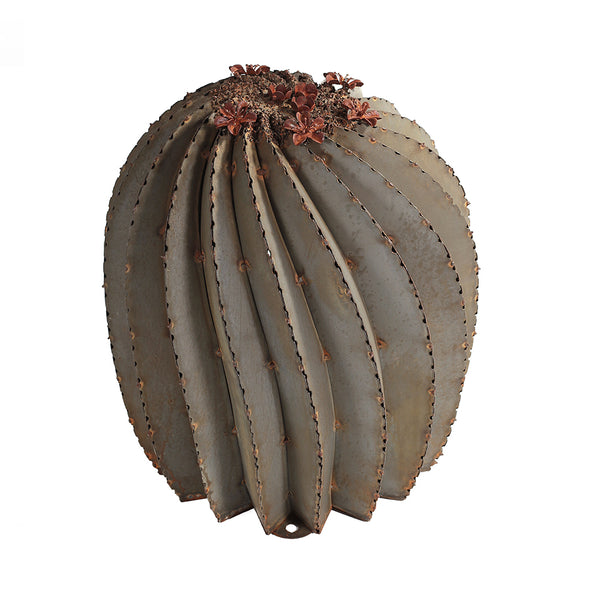 Fishhook Barrel Cactus with flowers on top