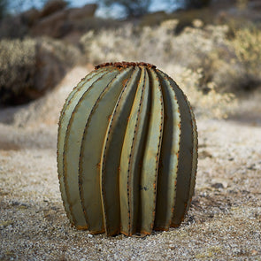 Fishhook Barrel Cactus with desert background