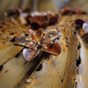 Close up of Fishhook Barrel flowers