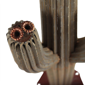 Saguaro Flower Cluster
