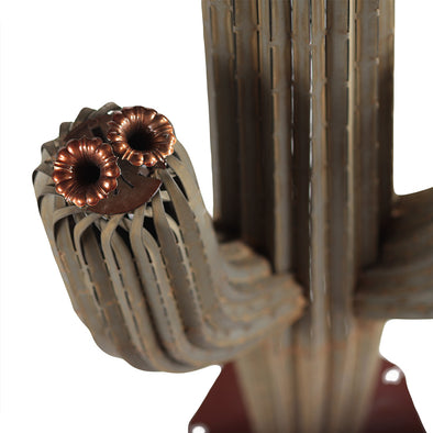 Saguaro Flower Cluster