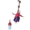 Fuchsia Hummingbird Feeder with bottle