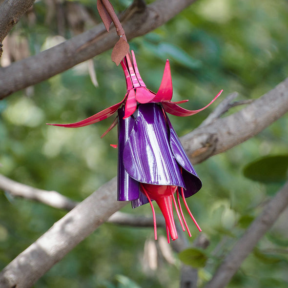 Fuchsia Hummingbird Feeder hanging from tree branch