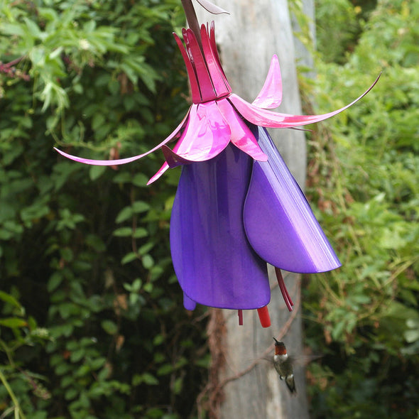 Fuchsia Bird Feeder hanging with hummingbird eating
