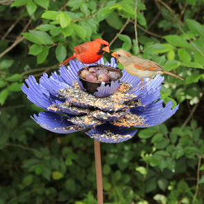 Purple Spider Peony Feeder
