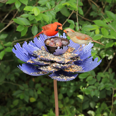 Purple Spider Peony Feeder
