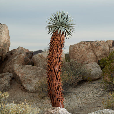 Steel Joshua Tree with desert background