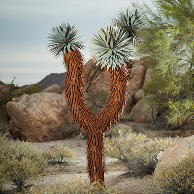 Steel Joshua Tree with desert background