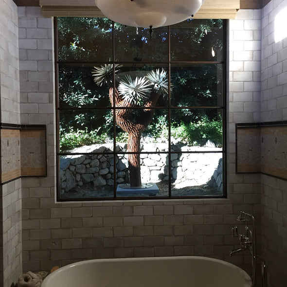 Joshua Tree in yard as seen from inside house