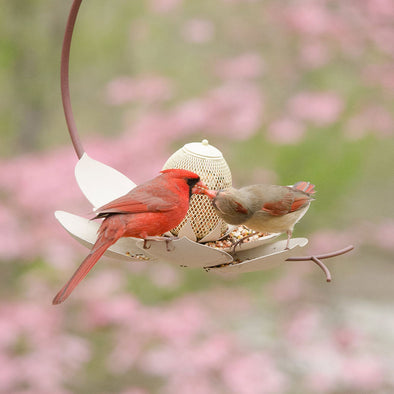 Magnolia Bird Feeder in garden with two cardinals