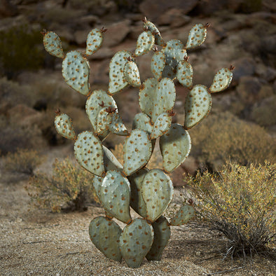 Large Prickly Pear Sculpture (48") with desert background