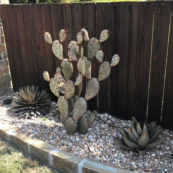 Metal Prickly Pear Sculpture in landscape bed with rock and metal agave