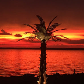 12' Palm Tree