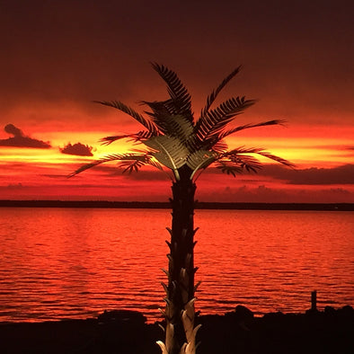 12' Palm Tree