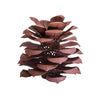 Pine Cone Luminary