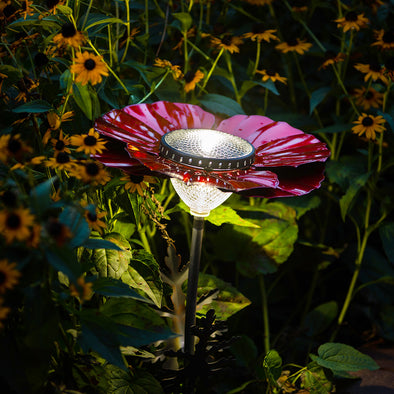 Red Poppy Solar Light lit up in garden