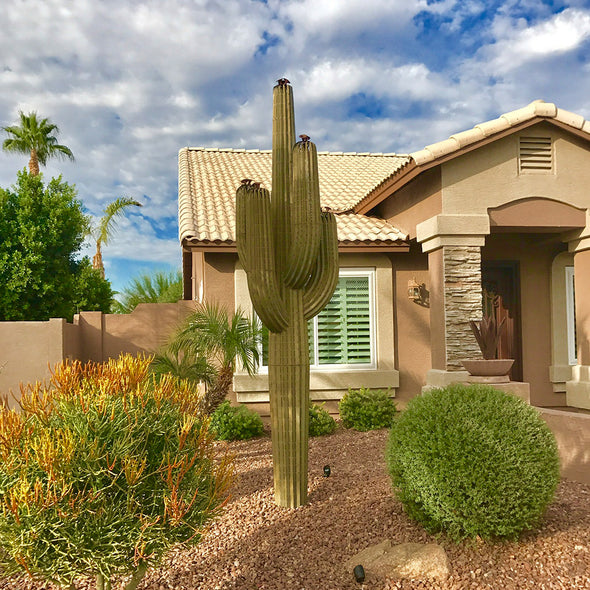 Steel Saguaro in landscape bed outside home