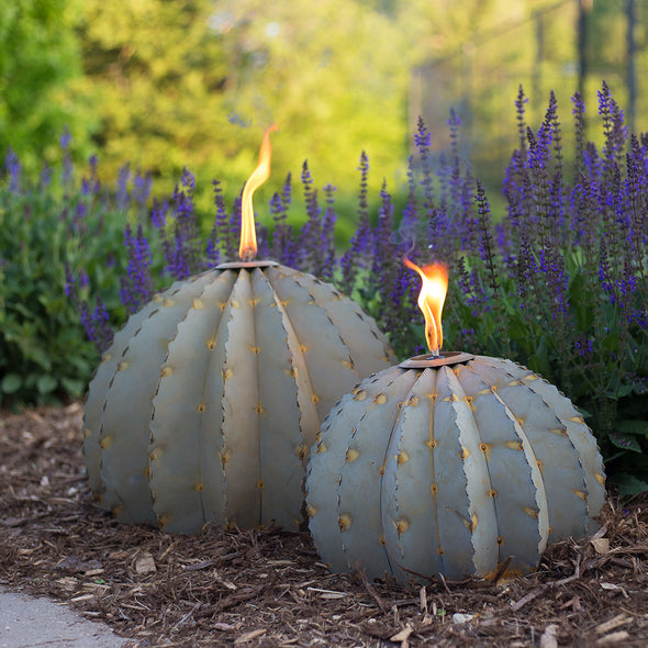 Barrel Cactus Garden Torch