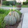 Barrel Cactus Garden Torch