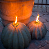 Barrel Cactus Garden Torch