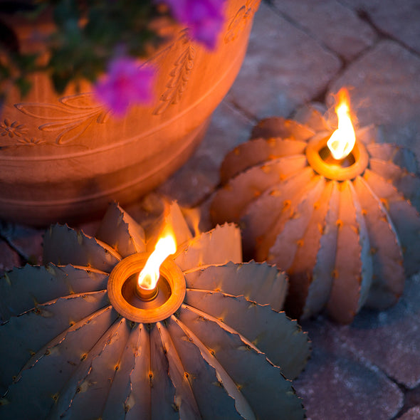 Barrel Cactus Garden Torch