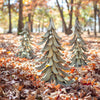 Blue Atlas Cedar