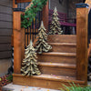 Blue Atlas Cedar