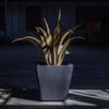 Cabot Planter