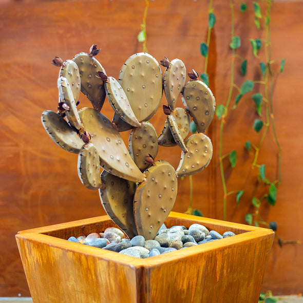 Prickly Pear | Queen of Hearts