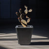 Parks Planter