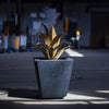 Parks Planter