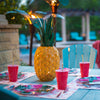 Pineapple Luminary