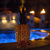 Pineapple Luminary