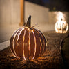 Classic Orange <br> Squatty Luminary