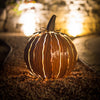 Classic Orange <br> Squatty Luminary