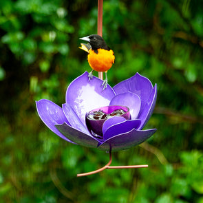 Purple Prince Magnolia Bird Feeder
