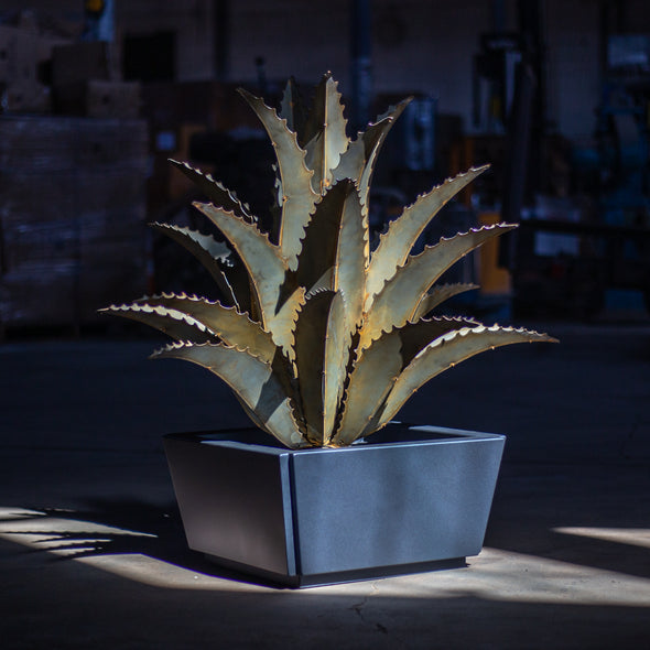 Reyes Planter