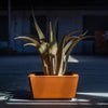 Reyes Planter