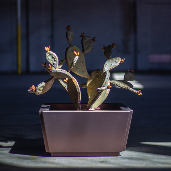 Reyes Planter