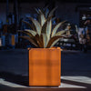 Shea Planter