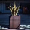 Shea Planter