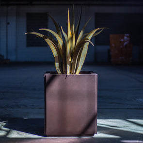 Shea Planter