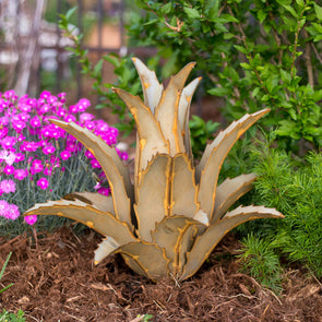 Steel Americana Agave