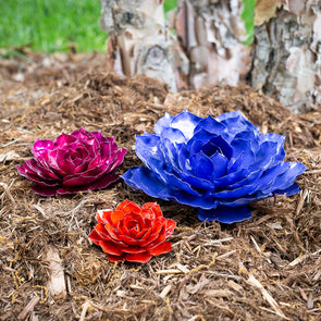 Mini Rose Trio