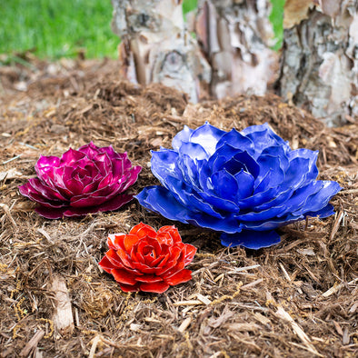 Mini Rose Trio
