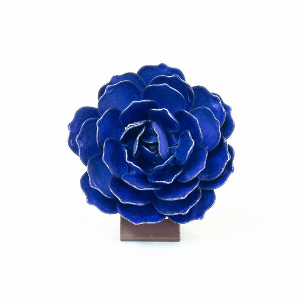 3" Periwinkle Moon Succulent